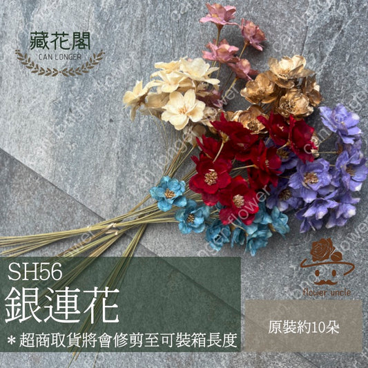 ✿ 台灣現貨 ✿ SH56 銀連花 原裝 10支裝 手工花