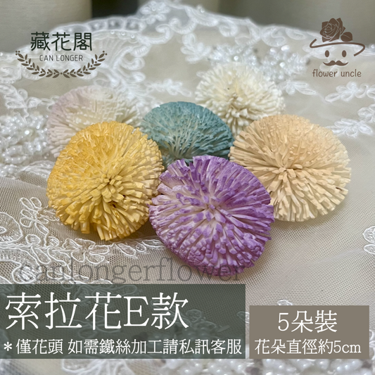 ✿ 台灣現貨 ✿ S-E 索拉花 5CM 通草花 擴香花 乒乓 乒乓球 乒乓菊 乒乓花型