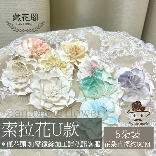 ✿ 台灣現貨 ✿ S-U 索拉花 6CM 通草花 擴香花