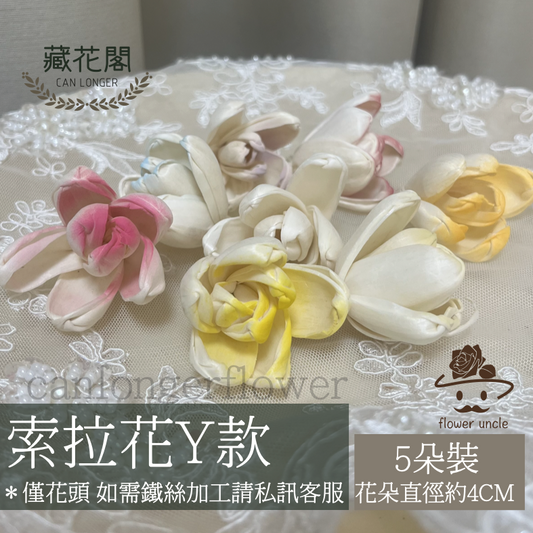 ✿ 台灣現貨 ✿ S-Y 索拉花 4CM 通草花 擴香花